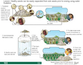 Thumbnail for version as of 14:41, 15 April 2026