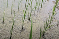 Thumbnail for version as of 14:38, 15 April 2026