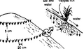 Thumbnail for version as of 14:40, 15 April 2026