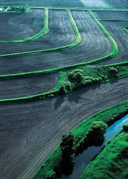 File:450px-514px-Terraces.jpg
