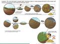 Thumbnail for version as of 21:03, 10 April 2026