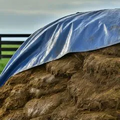 Thumbnail for version as of 14:41, 15 April 2026