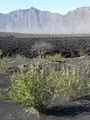 Thumbnail for version as of 14:38, 15 April 2026