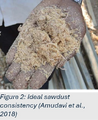 Thumbnail for version as of 12:03, 12 July 2026