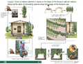 Thumbnail for version as of 14:39, 15 April 2026