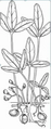 Thumbnail for version as of 15:17, 15 April 2026