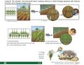 Thumbnail for version as of 21:01, 10 April 2026