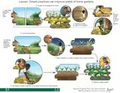 Thumbnail for version as of 14:38, 15 April 2026