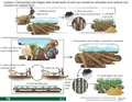 Thumbnail for version as of 14:42, 15 April 2026