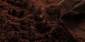 Thumbnail for version as of 12:42, 11 July 2026