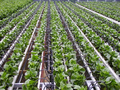 Thumbnail for version as of 14:42, 15 April 2026