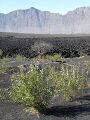 Thumbnail for version as of 21:03, 10 April 2026