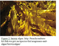 Thumbnail for version as of 14:39, 15 April 2026