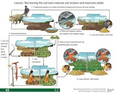 Thumbnail for version as of 14:42, 15 April 2026