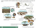 Thumbnail for version as of 14:40, 15 April 2026