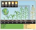 Thumbnail for version as of 21:03, 10 April 2026