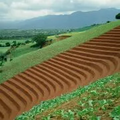 Thumbnail for version as of 14:43, 15 April 2026