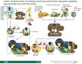 Thumbnail for version as of 21:00, 10 April 2026