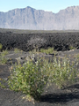 Thumbnail for version as of 14:40, 15 April 2026