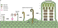 Thumbnail for version as of 21:05, 10 April 2026