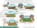 Thumbnail for version as of 14:41, 15 April 2026