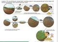 Thumbnail for version as of 15:18, 15 April 2026