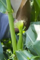 Thumbnail for version as of 14:39, 15 April 2026