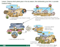 Thumbnail for version as of 14:39, 15 April 2026
