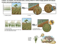 Thumbnail for version as of 15:18, 15 April 2026