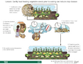 Thumbnail for version as of 14:38, 15 April 2026
