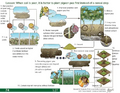 Thumbnail for version as of 14:43, 15 April 2026