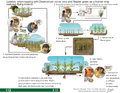 Thumbnail for version as of 14:39, 15 April 2026
