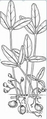 Thumbnail for version as of 15:17, 15 April 2026