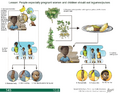 Thumbnail for version as of 14:40, 15 April 2026