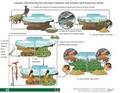 Thumbnail for version as of 14:41, 15 April 2026