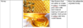 Thumbnail for version as of 21:01, 10 April 2026