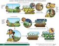 Thumbnail for version as of 14:43, 15 April 2026