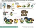 Thumbnail for version as of 21:00, 10 April 2026