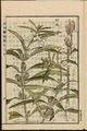 Thumbnail for version as of 14:38, 15 April 2026