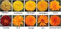 Thumbnail for version as of 21:00, 10 April 2026