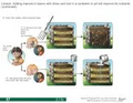 Thumbnail for version as of 14:39, 15 April 2026