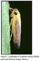Thumbnail for version as of 13:50, 18 July 2026