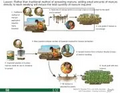 Thumbnail for version as of 14:39, 15 April 2026