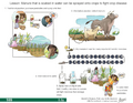 Thumbnail for version as of 14:41, 15 April 2026