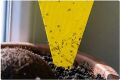 Thumbnail for version as of 21:00, 10 April 2026