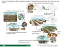 Thumbnail for version as of 14:43, 15 April 2026