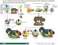 Thumbnail for version as of 21:00, 10 April 2026