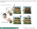 Thumbnail for version as of 21:04, 10 April 2026