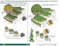 Thumbnail for version as of 14:41, 15 April 2026