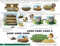 Thumbnail for version as of 21:01, 10 April 2026